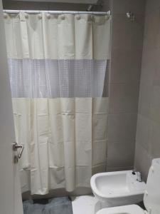 a bathroom with a shower curtain and a toilet at Palmas de Recoleta in Buenos Aires