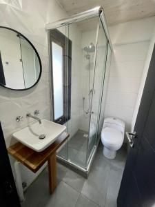 a bathroom with a shower and a sink and a toilet at Casa Alma - Lujo y descanso con vista al mar in Pichilemu +20 photos