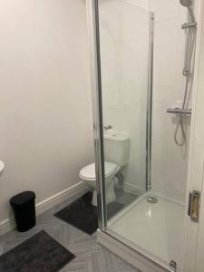a bathroom with a toilet and a glass shower at Bridgewater Flat in Bridgwater