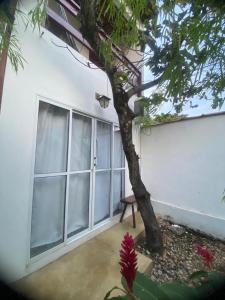 a window with a bench in front of a building at Pousada Flor de Debora in Alto Paraíso de Goiás