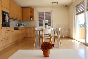 a kitchen with a table and chairs in a room at Swiss Tranquility Suites in Aarau