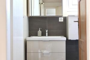 a bathroom with a white sink and a mirror at Swiss Tranquility Suites in Aarau