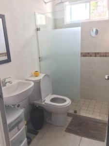 ein Bad mit einem WC, einem Waschbecken und einer Dusche in der Unterkunft Hermoso y acogedor departamento Colinas Santiago in Manzanillo