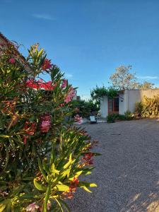 a bush with flowers in front of a building at Finca Serrato in Colmenar