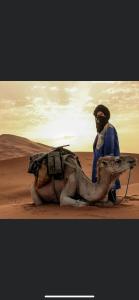 un hombre parado junto a un camello en el desierto en Faima en Douz
