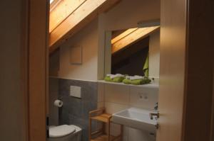 a bathroom with a sink and a toilet and a mirror at Haus Lagger in Seefeld in Tirol