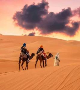 two people are riding horses in the desert at Faima in Douz