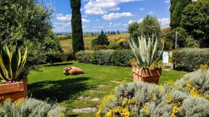 A garden outside Villa S.Anna