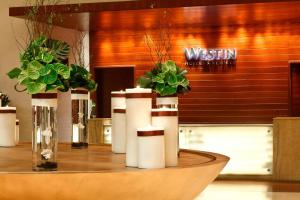 Fotografie z fotogalerie ubytování The Westin Guangzhou v Kantonu