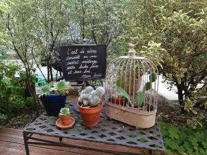 Ein Garten an der Unterkunft Gîte la comète