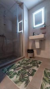 baño con ducha y alfombra en el suelo en F&M Apartment No 12, en Skopje