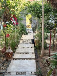 a stone pathway in a garden with flowers at Paradise Guest House in Agadir