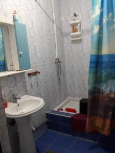 ein Bad mit einem Waschbecken und einer Dusche in der Unterkunft au bord de la mer in Alger