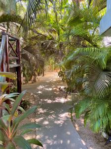 un camino de tierra con palmeras y un edificio en Pacha Tulum, en Tulum