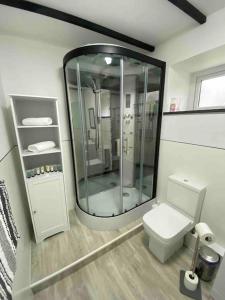 a bathroom with a toilet and a large mirror at Beautiful renovated former coach house in Llandeilo