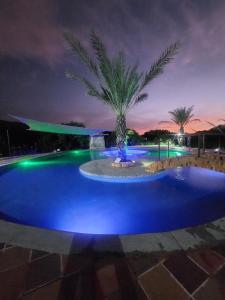 una piscina por la noche con una palmera en el medio en Cabaña Ecoturismo Los Mangos, en Santa Marta