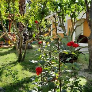 un jardín con flores rojas en la hierba en Casa privada Hospedaje Rural Oro tinto, en Santa Cruz