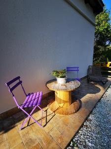 a table and two chairs and a potted plant on a patio at LA CASA DEL GRILLO - Valle del Menotre - Rasiglia in Orsano