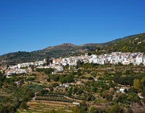 a town on a hill with white buildings at Casa rural Los Rosales in Lanjarón