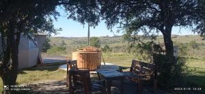 einen Tisch und zwei Stühle unter einem Baum in der Unterkunft Carabanchel casa de campo in Canepa