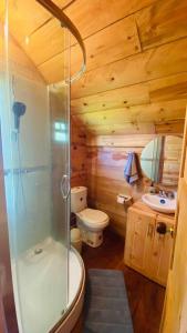 La salle de bains est pourvue d'une douche et de toilettes. dans l'établissement Cabaña en La Laguna de la Cocha, à Pasto