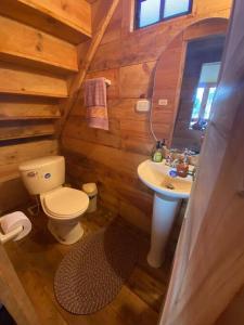 La salle de bains est pourvue de toilettes et d'un lavabo dans une cabane en rondins. dans l'établissement Cabaña en La Laguna de la Cocha, à Pasto