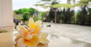Shan-lin的住宿－登雲villa，坐在桌子上的一个假花