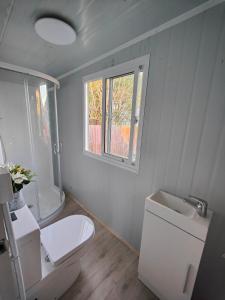 Un baño con inodoro, lavabo y ventana. en Beautiful 30m2 tiny home!, en Christchurch
