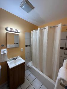 a bathroom with a shower curtain and a sink at Relax Inn in Streator