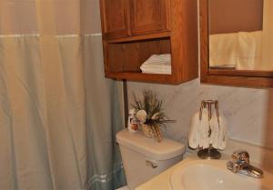 Un baño con inodoro, lavabo y ducha. en The Red 6, en Grand Forks 17 fotos más