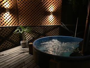 Billede fra billedgalleriet på Domo Osorno i Osorno