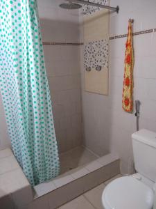 a bathroom with a shower curtain and a toilet at Naiguata in Zárate