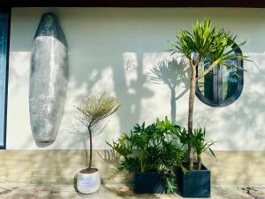 Ein Garten an der Unterkunft Boom Casa Homestay