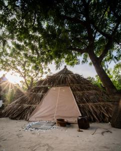 a straw tent sitting on a beach under a tree at Vietnam Surf Camp in Ấp Mỹ Hải
