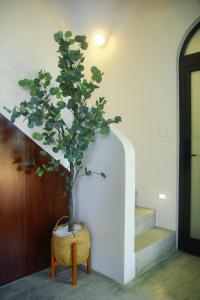Galeriebild der Unterkunft Boom Casa Homestay in Hue