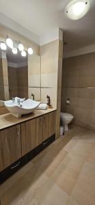 Koupelna v ubytování Hotel Bran Stoker
