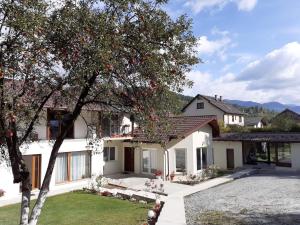 a white house with a tree in the yard at Casa Anna in Borşa