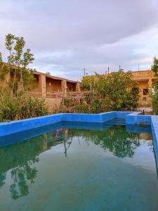a pool of water in front of a building at Gagal camp in Siwa