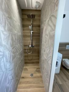 ein Bad mit einer Dusche und einem WC in der Unterkunft Appartement climatisé in Charmes