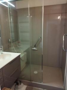 克萊蒙費朗的住宿－Le Puy de Dôme，浴室里设有玻璃门淋浴