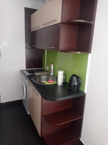 een kleine keuken met een wastafel en een fornuis bij Apartament No 40 in Łódź