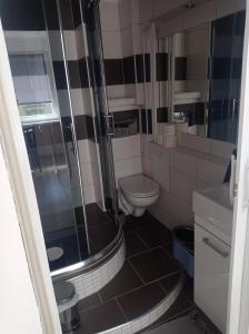 een kleine badkamer met een toilet en een douche bij Apartament No 40 in Łódź
