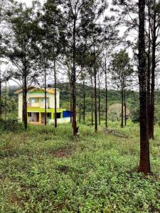 una casa en medio de un campo con árboles en It’s pleasant vibe with nature oriented, en Kolli Hills