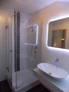 a bathroom with a shower and a sink and a mirror at Hotel am Wiesenhang - Garni in Bad Kohlgrub