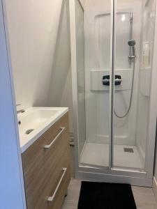 een badkamer met een douche en een wastafel bij Villa Beauregard in Mers-les-Bains