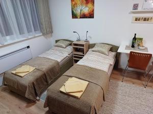Posteľ alebo postele v izbe v ubytovaní Apartmán Sedmička Horec