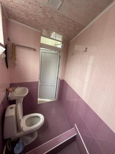 baño con aseo y ventana en Ijevan beautiful Home en Ijevan