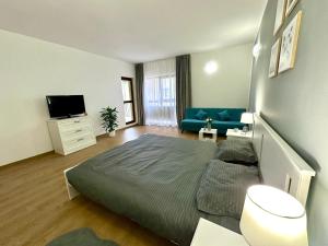 ein Schlafzimmer mit einem Bett, einem Sofa und einem TV in der Unterkunft Apartament Novara 1 in Craiova