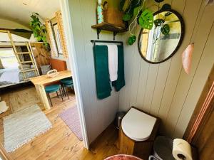 ホーンキャッスルにあるBain View Glampingのバスルーム(トイレ、壁掛け鏡付)