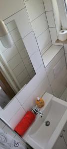 W łazience znajduje się umywalka i lustro. w obiekcie Messewohnung w Hanowerze